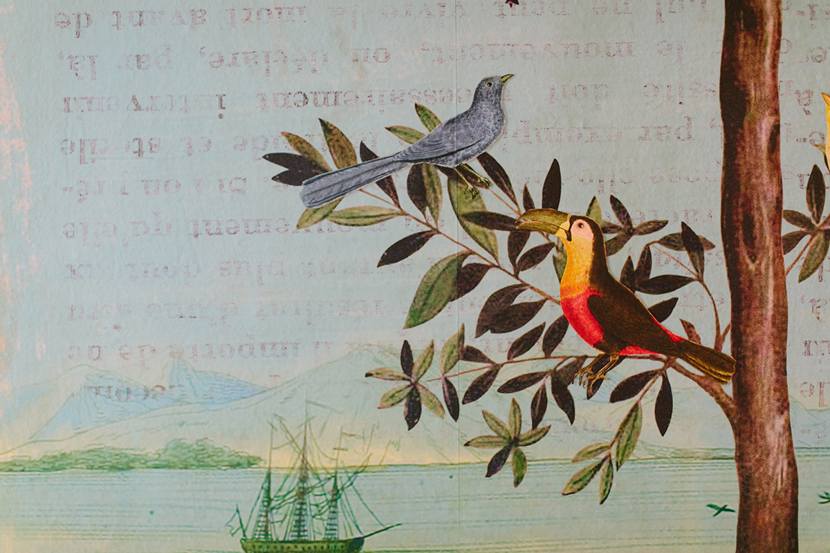 How to Find a Mentor